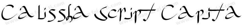 Calissha Script Capitals字体转换